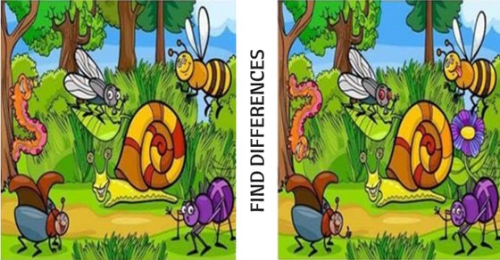 Find The difference image puzzle