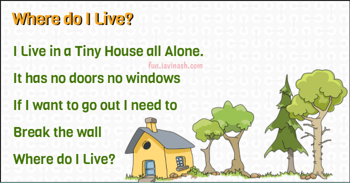 I Live in a Tiny House all Alone. It has no doors no windows If I want to go out I need to Break the wall Where do I Live?