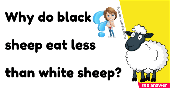 Why do black sheep eat less than white sheep